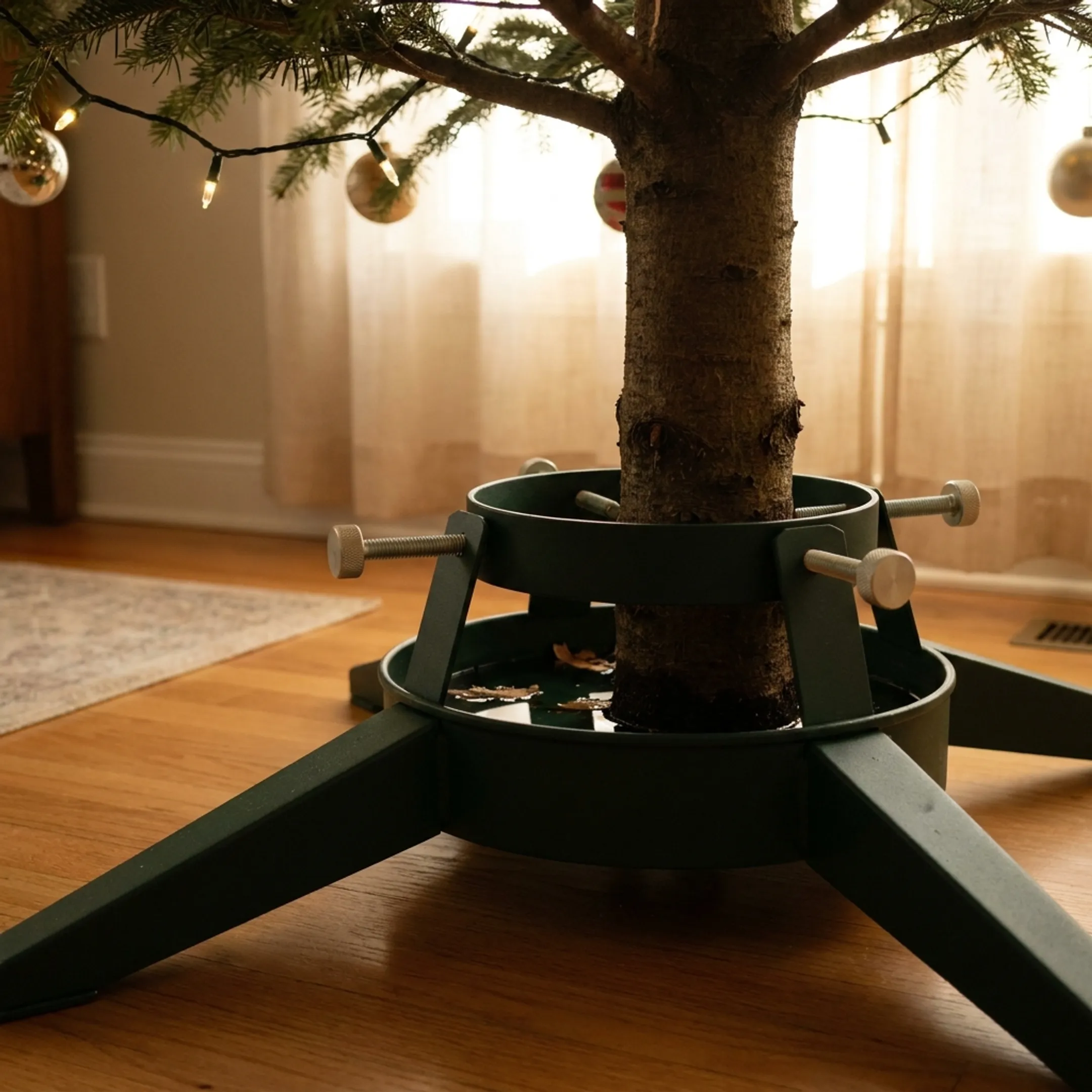 Residential Christmas tree display