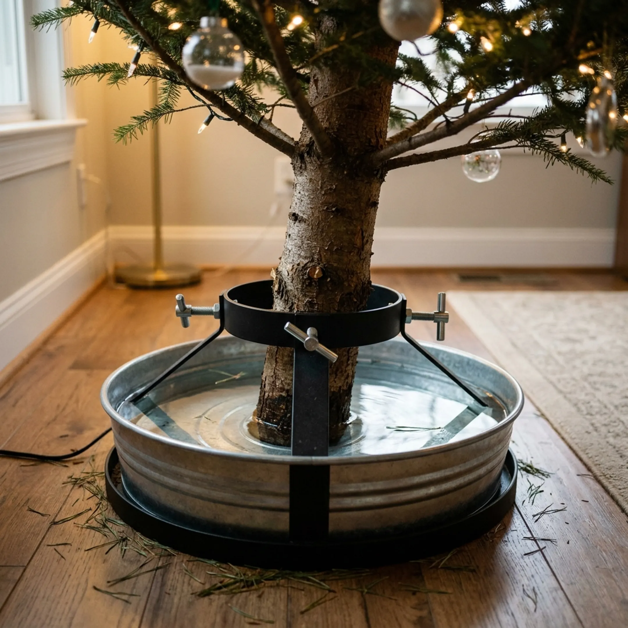 Residential Christmas Tree Owners