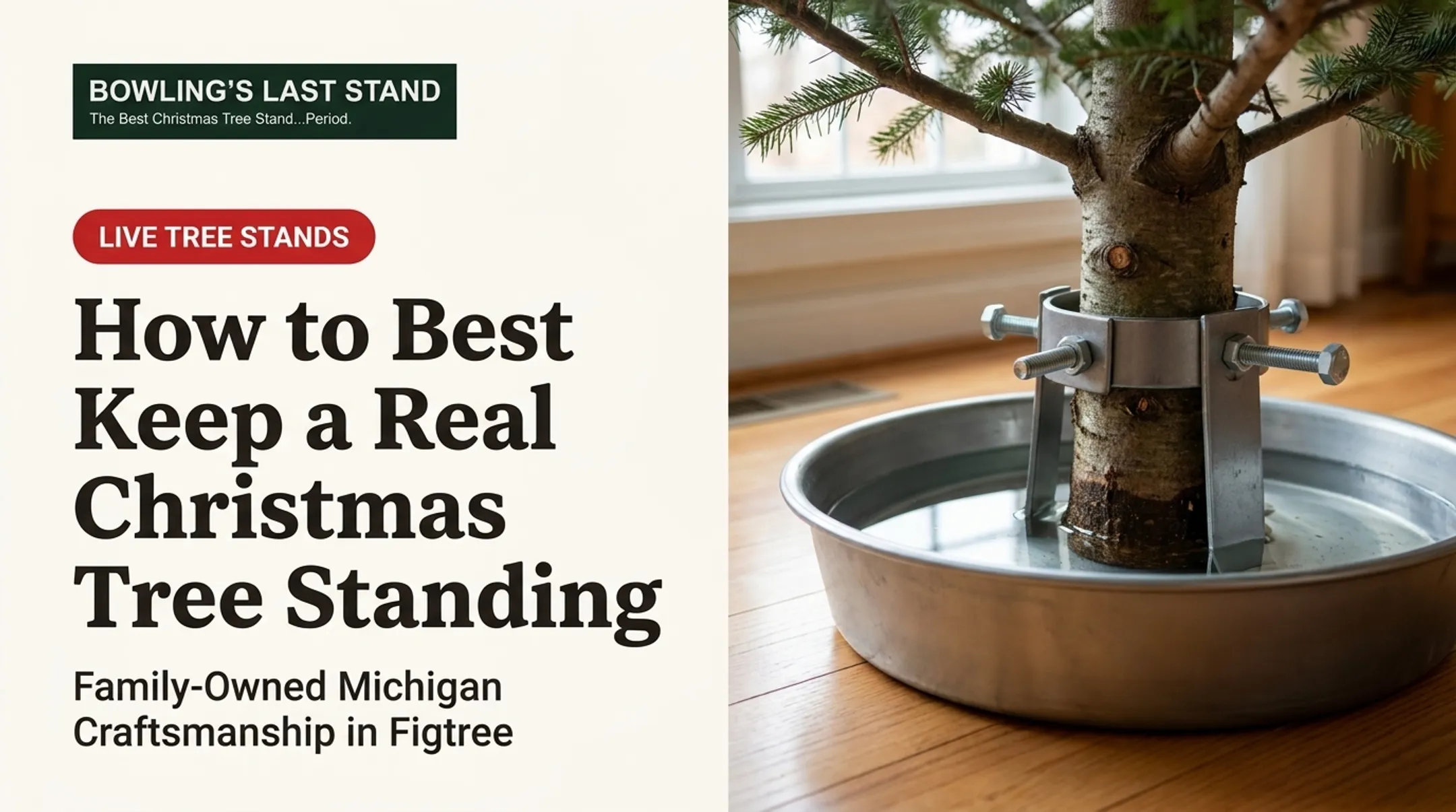 How to Best Keep a Real Christmas Tree Standing