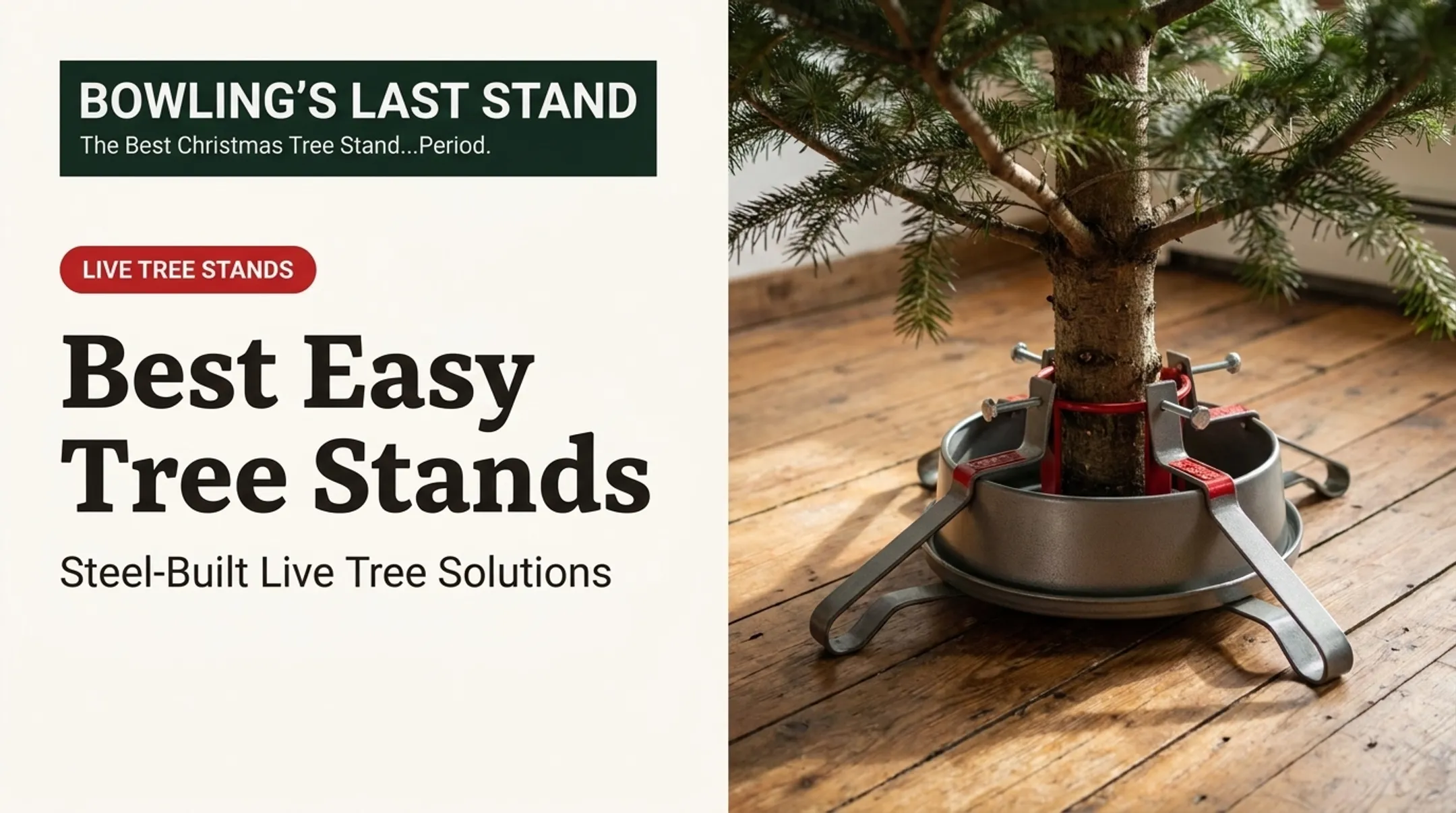 Best Easy Tree Stands