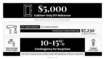 DIY cabinet painting cost versus full replacement budget comparison chart