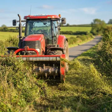 Vegetation Management