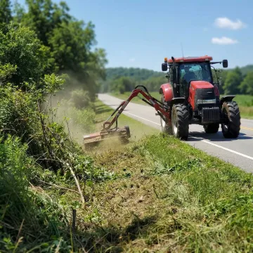 Vegetation Management