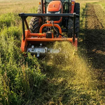 Vegetation Management