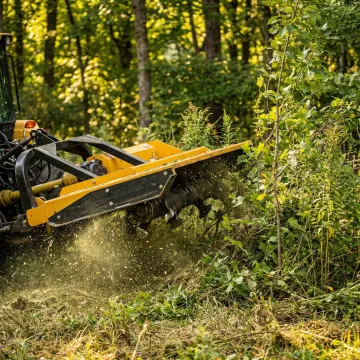 Forestry & Vegetation Management