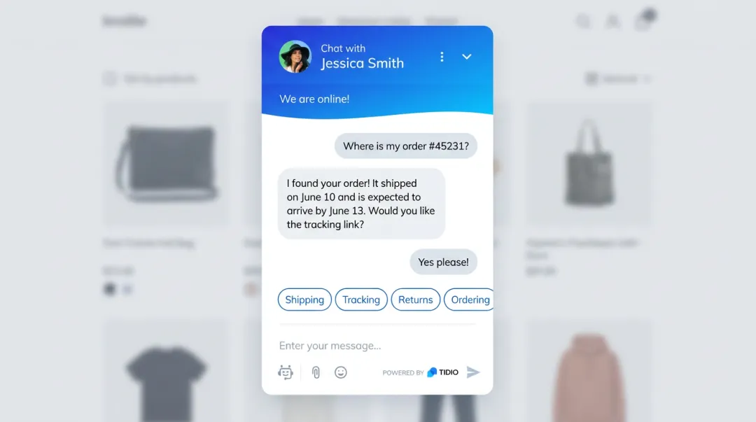 Tidio Lyro AI chatbot interface on ecommerce website product page