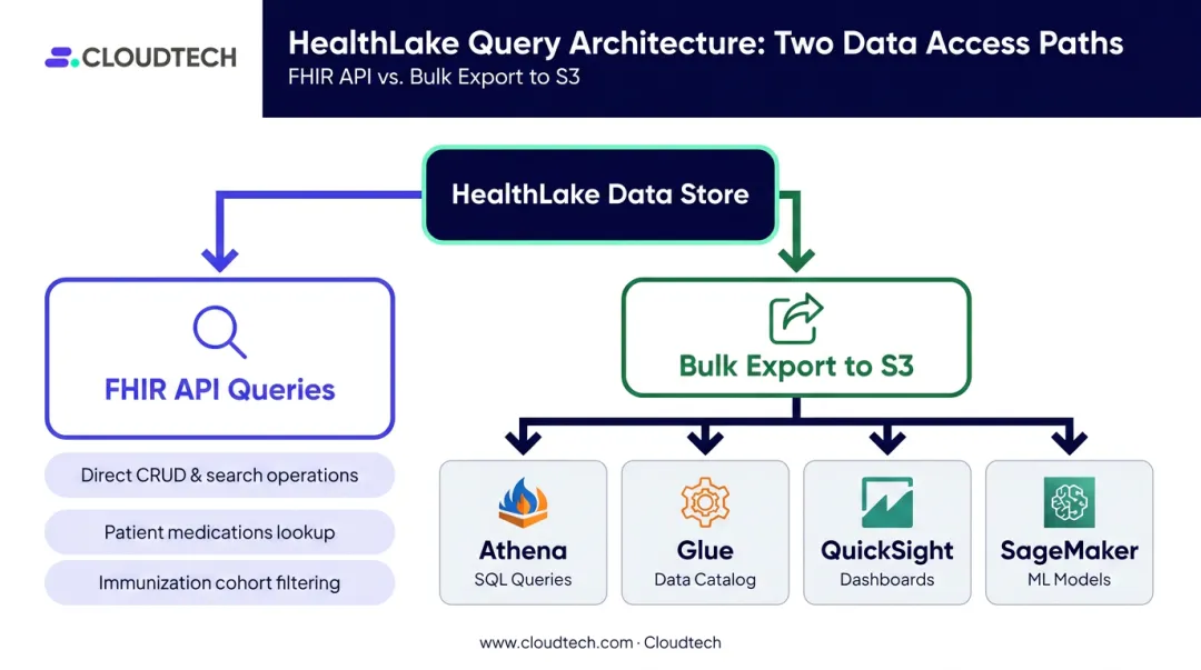 AWS HealthLake dual query paths FHIR API versus bulk S3 analytics export comparison