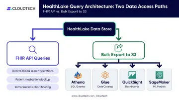 AWS HealthLake dual query paths FHIR API versus bulk S3 analytics export comparison