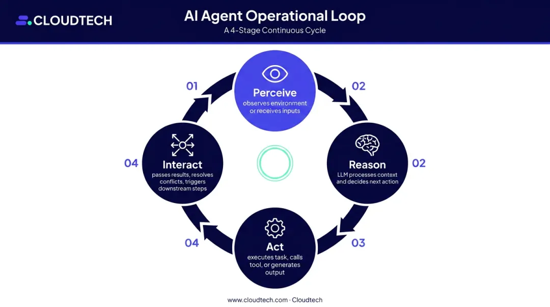 Four-stage AI agent operational loop perceive reason act interact cycle