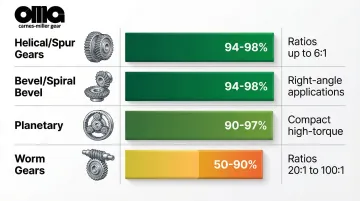 Infographic