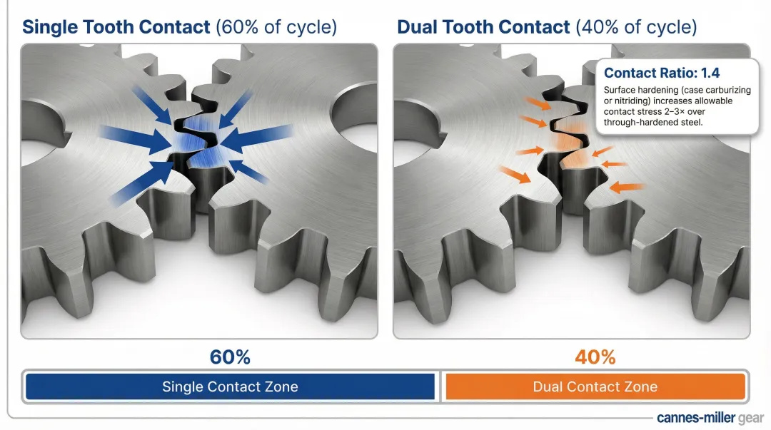 Spur gear contact ratio load distribution diagram showing single versus dual tooth contact phases