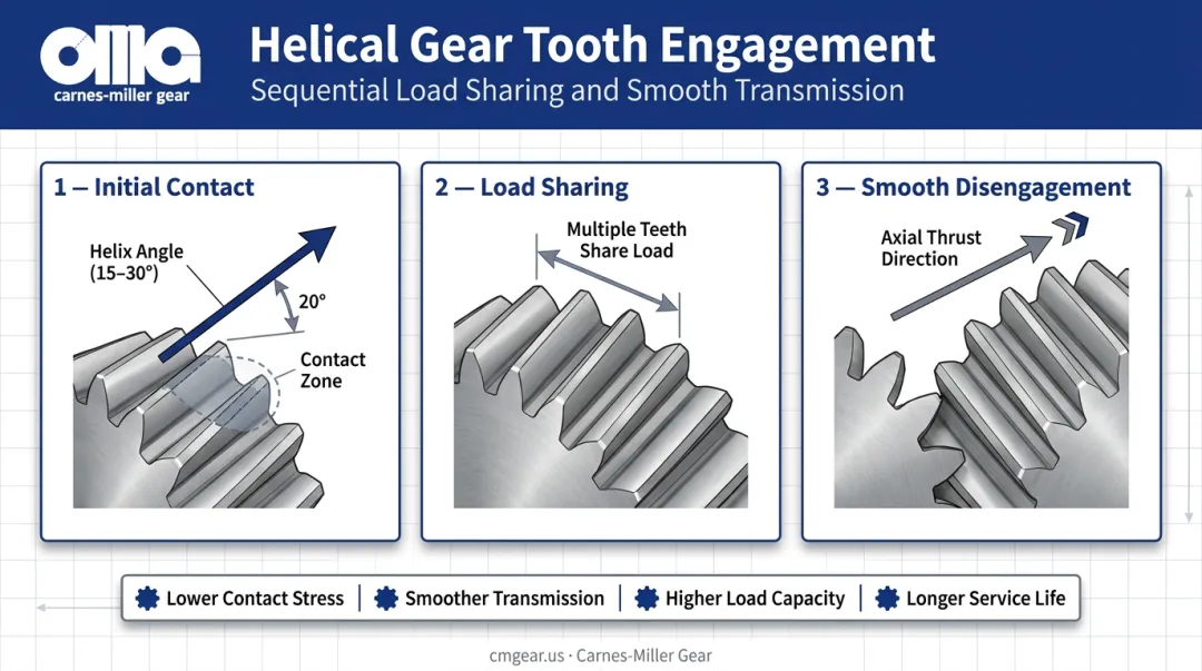 Helical gear tooth engagement process showing progressive multi-tooth load sharing