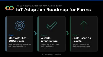 3-phase IoT agriculture implementation roadmap from pilot to full-scale deployment