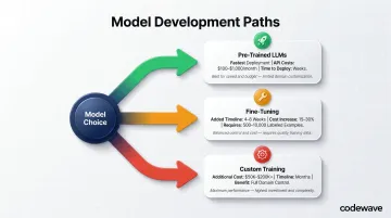 Three AI model development paths comparing cost timeline and customization tradeoffs