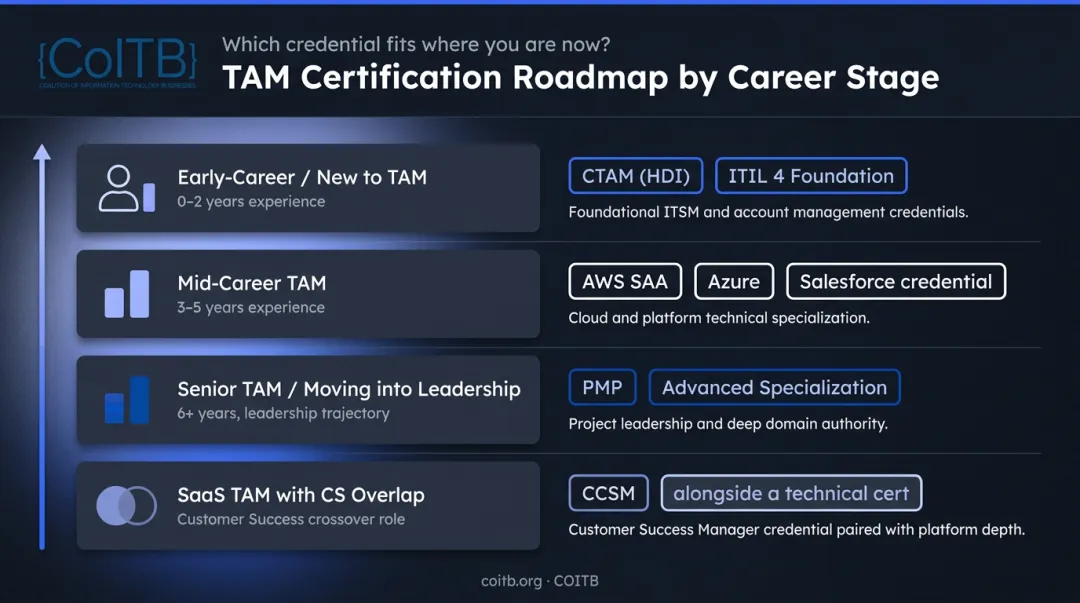 TAM certification roadmap by career stage from entry level to senior leadership