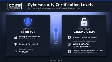 Entry-level versus senior cybersecurity certification comparison salary and requirements breakdown
