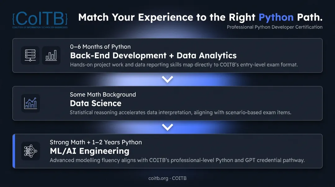 Python career path selection guide matching experience level to role infographic