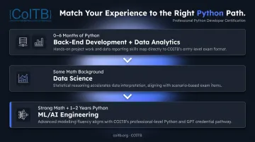 Python career path selection guide matching experience level to role infographic