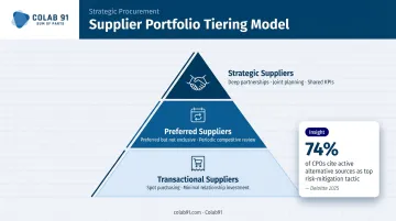 Three-tier supplier portfolio segmentation model strategic preferred transactional comparison