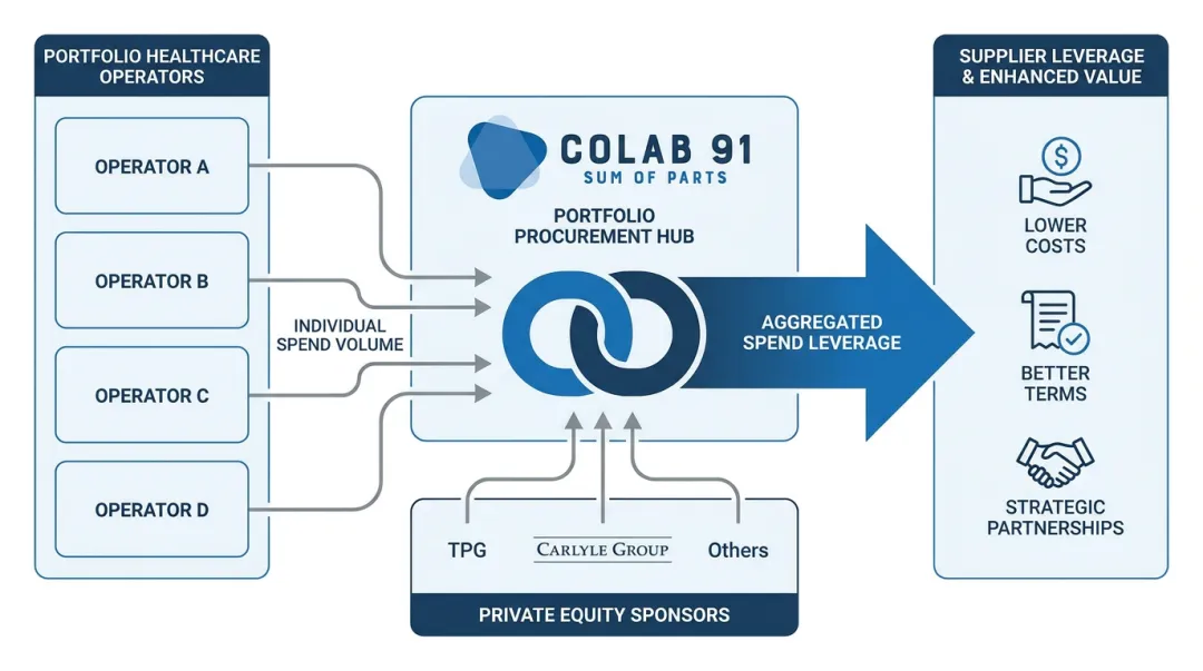 PE portfolio spend aggregation model showing multi-company procurement leverage across categories