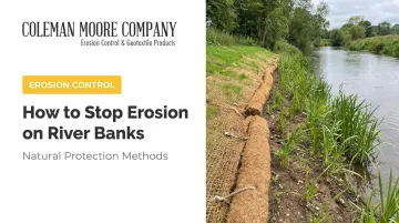 How to Stop Erosion on River Banks: Natural Protection Methods