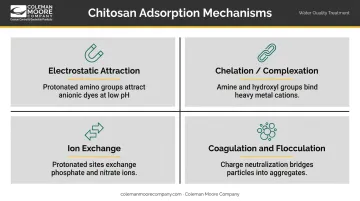 Four chitosan adsorption mechanisms targeting different wastewater pollutant classes