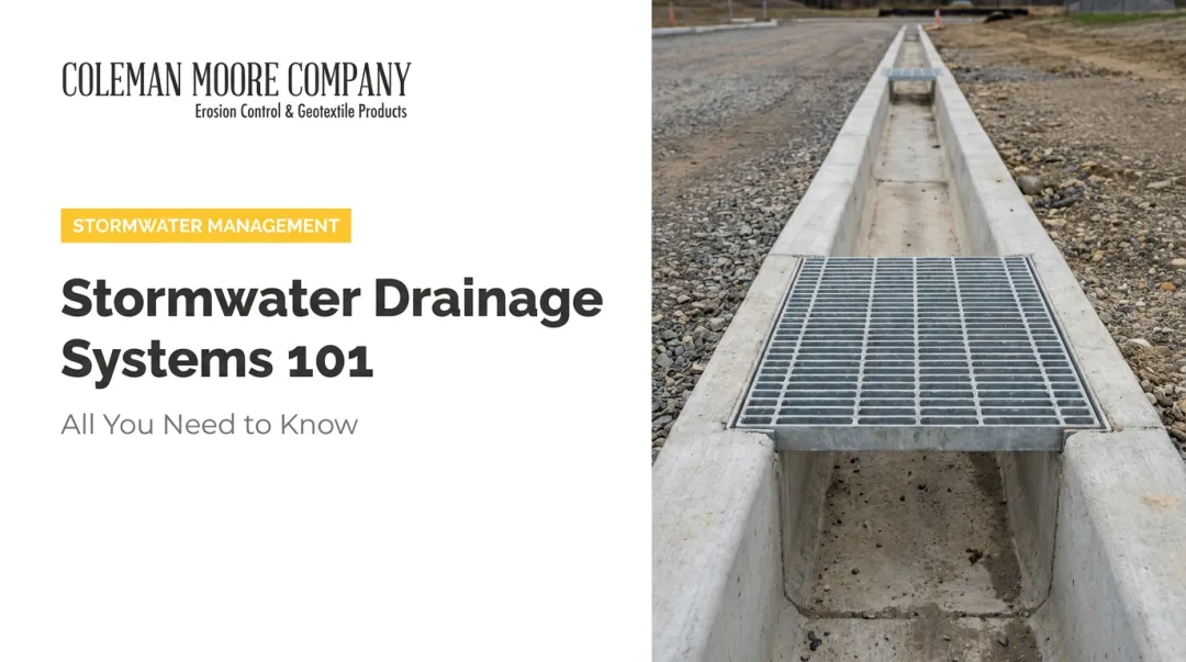 Stormwater Drainage Systems 101: All You Need to Know
