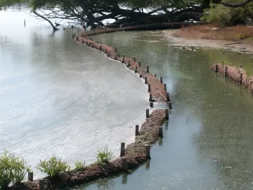 Waterways & Shoreline Restoration