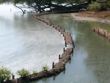 Waterways & Shoreline Management