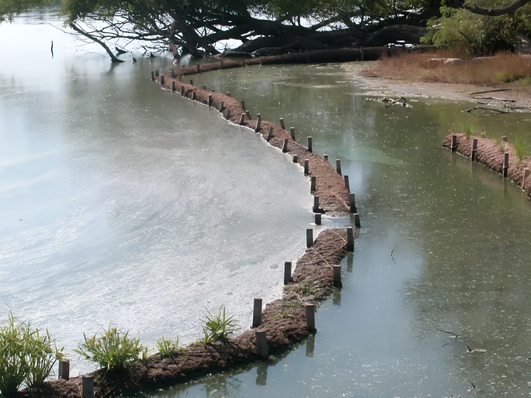 Waterways, Shorelines & Wetlands