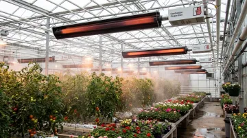 CRC Reflect-O-Ray and Omega II infrared tube heaters installed in commercial greenhouse