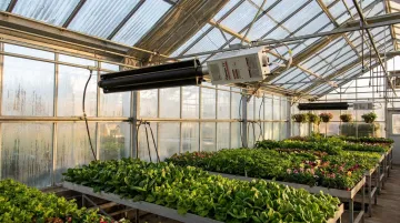 Combustion Research Corporation Reflect-O-Ray infrared tube heater installed in commercial greenhouse