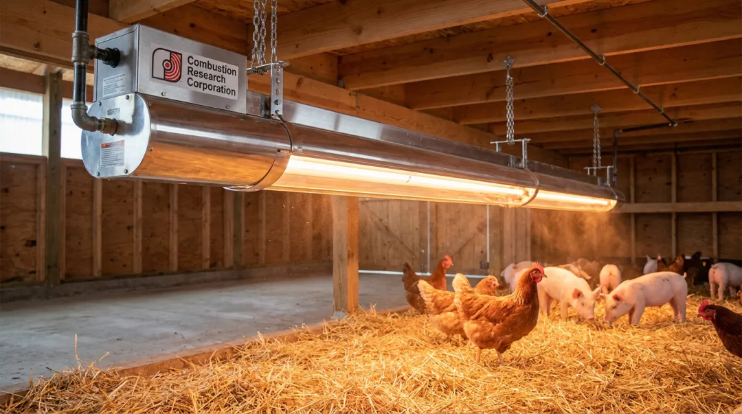 Ceiling-mounted infrared tube heater installed in livestock barn warming animals below