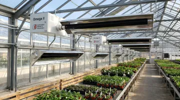 CRC low-intensity infrared tube heaters ceiling-mounted above commercial greenhouse growing benches