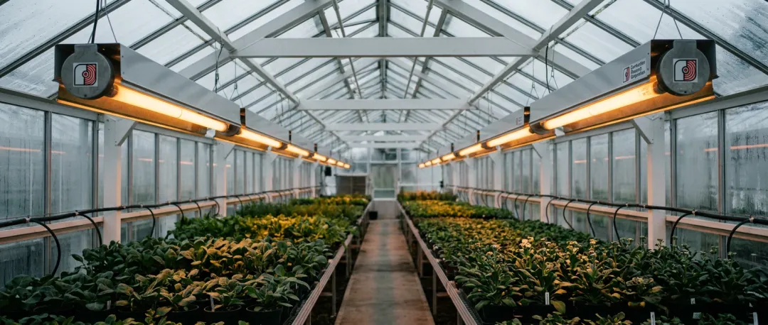 Agricultural & Greenhouse Facilities