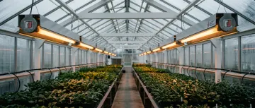 Agricultural & Greenhouse Facilities