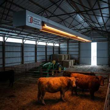 Pole Barns & Agricultural Facilities