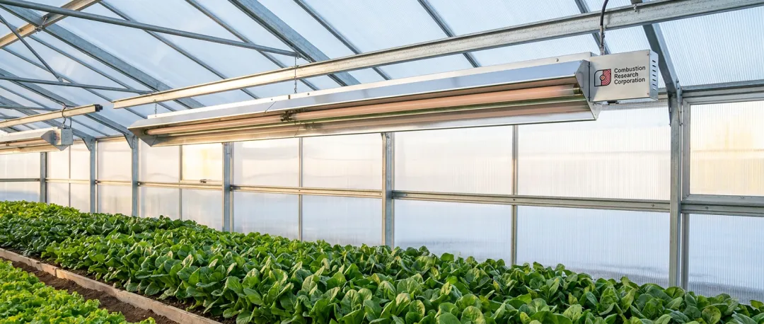 Greenhouses & Animal Confinement