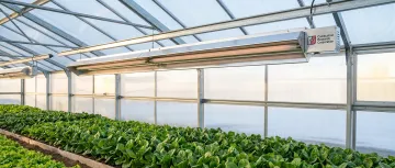 Greenhouses & Animal Confinement