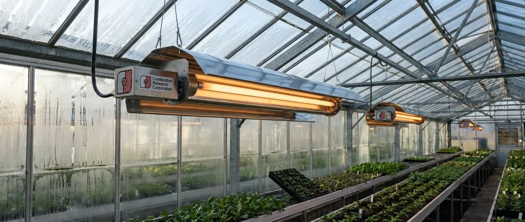 Greenhouses & Aquatic Centers