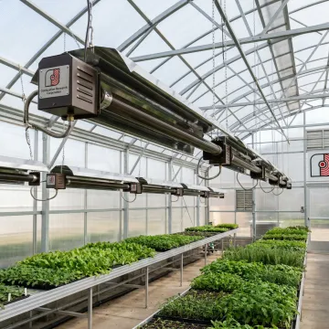 Greenhouse radiant heater warming rows of plants