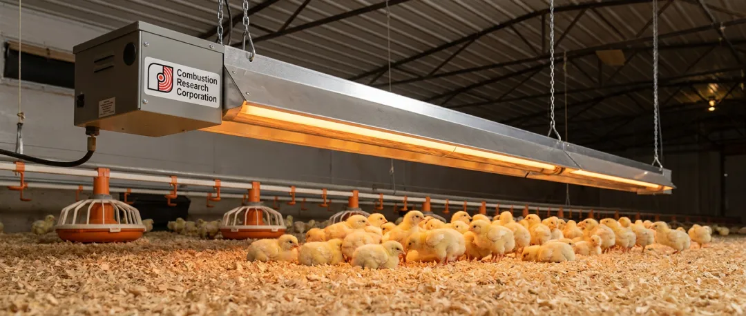 Livestock & Poultry Brooding Houses