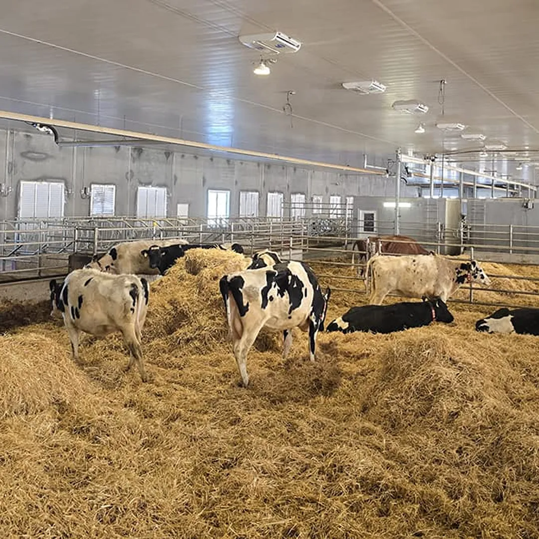 Infrared heater warming a barn interior