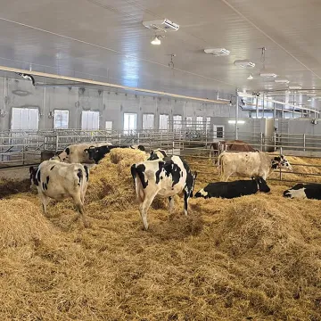 Heater for Barn: Solutions & Buyer's Guide