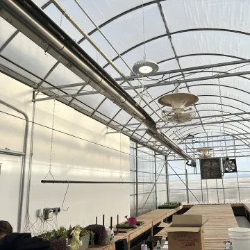 Engineer reviewing greenhouse infrared heater layout