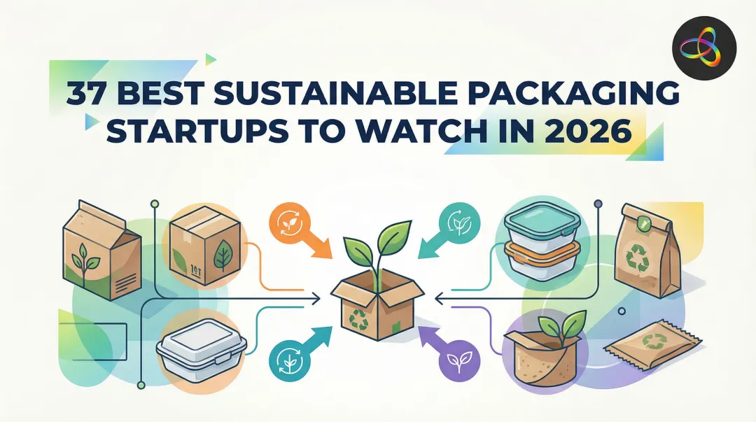 37 Best Sustainable Packaging Startups to Watch in 2026
