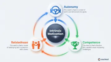 Self-Determination Theory three psychological needs autonomy competence relatedness infographic