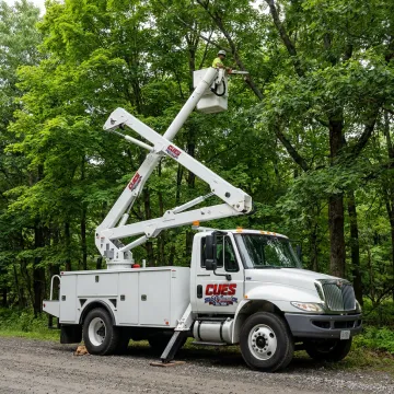 Forestry & Tree Service