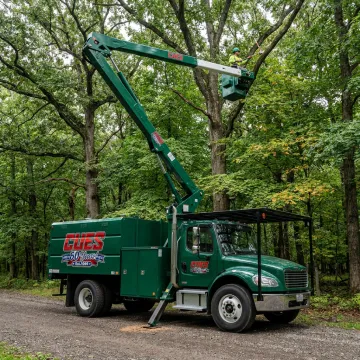 Forestry & Tree Service