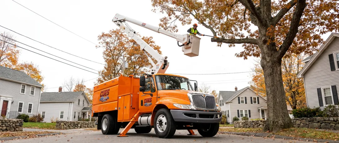 Forestry & Tree Trimming